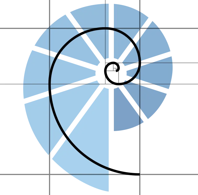 Pool-Piscinas-Fibonacci-y-el-nautilo