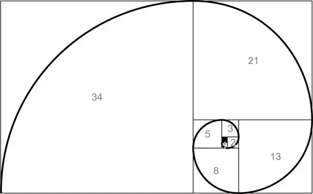 Pool-Piscinas-Fibonacci